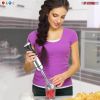 Immersion Hand Held Blender Electric 400 Watt 2 Speed 9 Modes Stainless Steel Stick Blenders Whisk Mixer 800ml Cup 5 Core