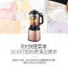 Royalstar Multifunctional High-speed Blender RZ-1308H Juicer 2000ML Grinder