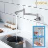 2-Handle Folding Arms 360Â°  Rotatable Joints Commercial Kitchen Faucet