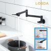 2-Handle Folding Arms 360Â°  Rotatable Joints Commercial Kitchen Faucet